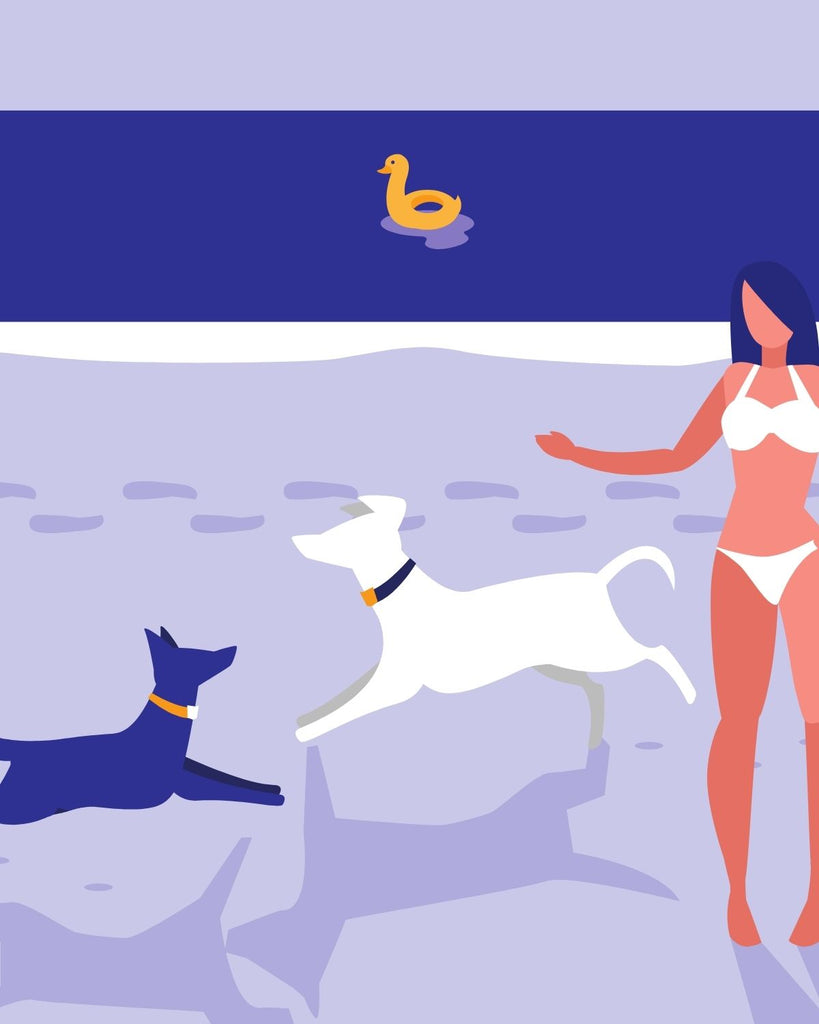 Hund & Hitze - wie kannst Du mit Deinem Hund die warmen Tage genießen?