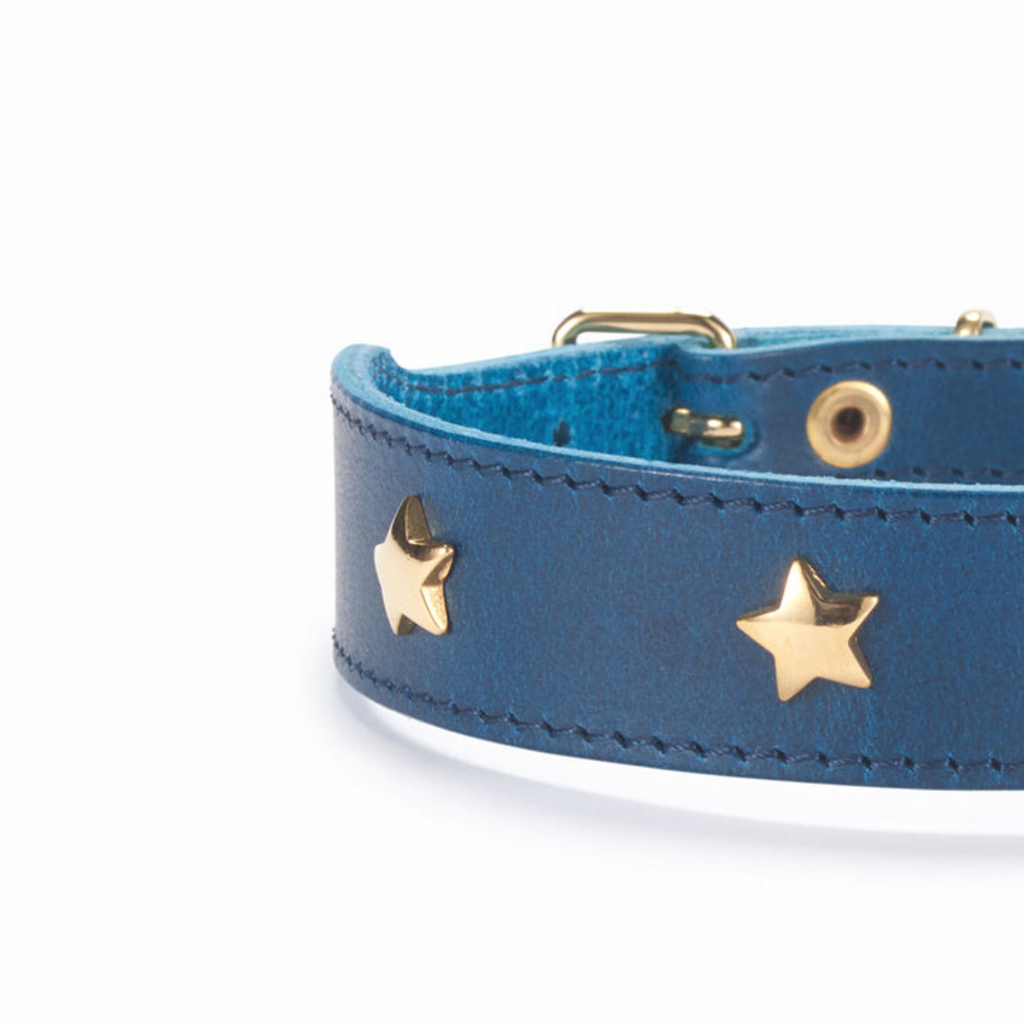 Hundehalsband Leder aus Leder in mittel blau mit Stern Nieten Nahaufnahme 
