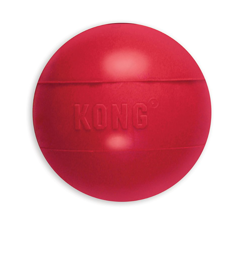 Kong Ball Hundespielzeug, Spielzeug - Van Muppen 