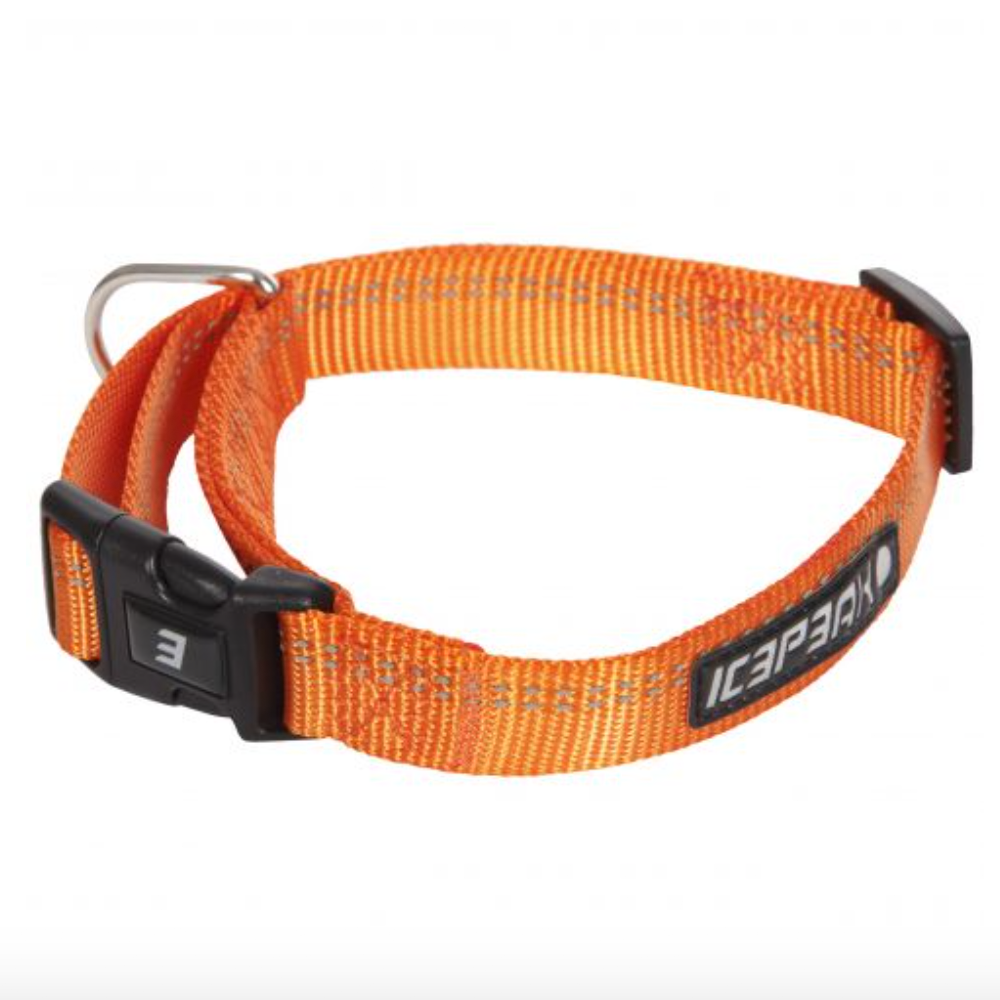 Hundehalsband orange - Winner - Van Muppen