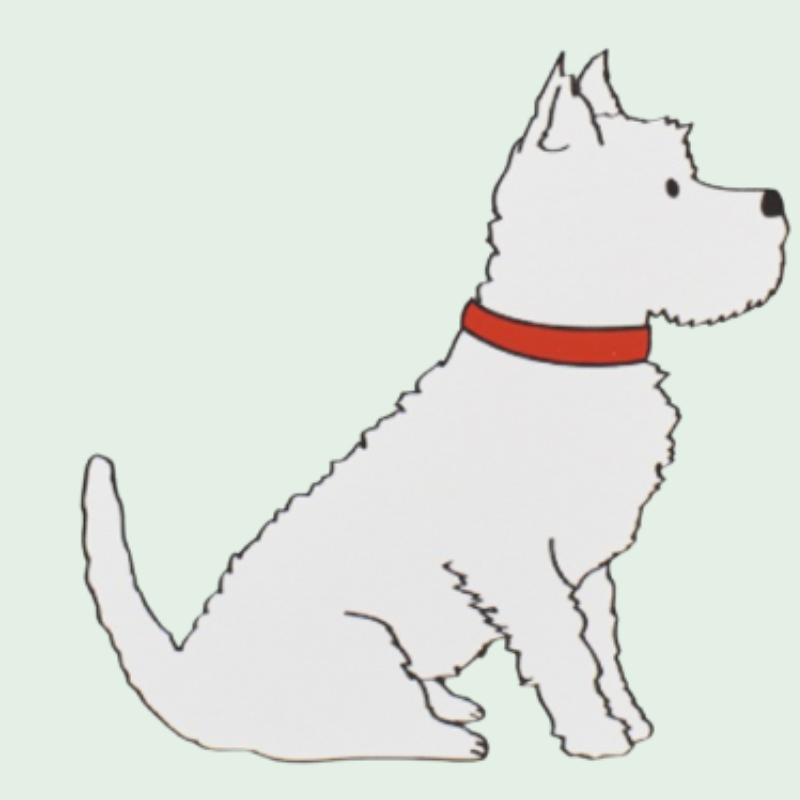 Westhighland, Yorkshire  & Border Terrier Accessoires