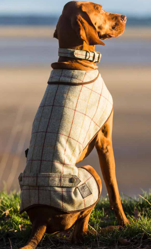 Tweed Mantel für Hunde, Hundemantel - Van Muppen 