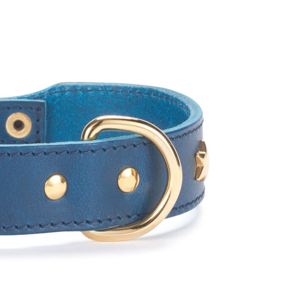D Ring Hundehalsband blau mit Nieten und Verarbeitung 