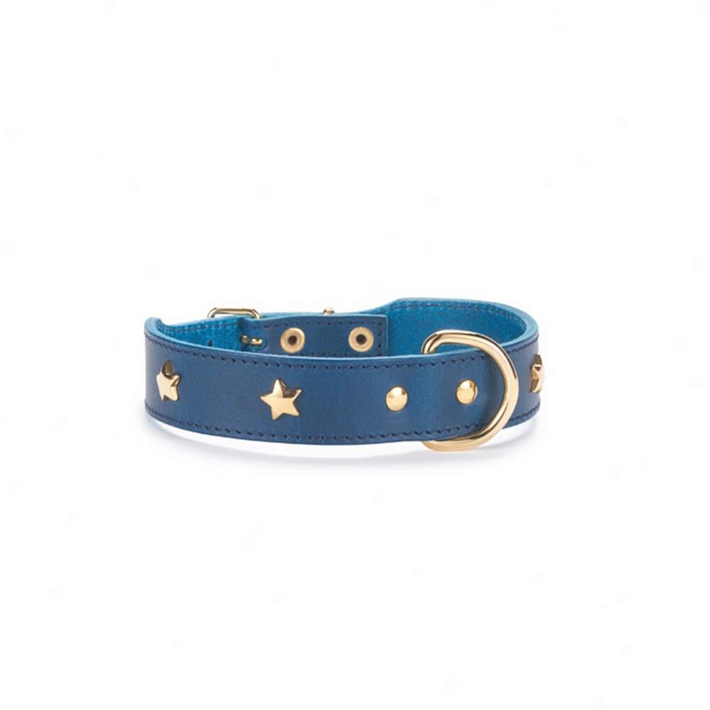 Hundehalsband aus blauem Leder mit goldenen Nieten in Sternen Form 
