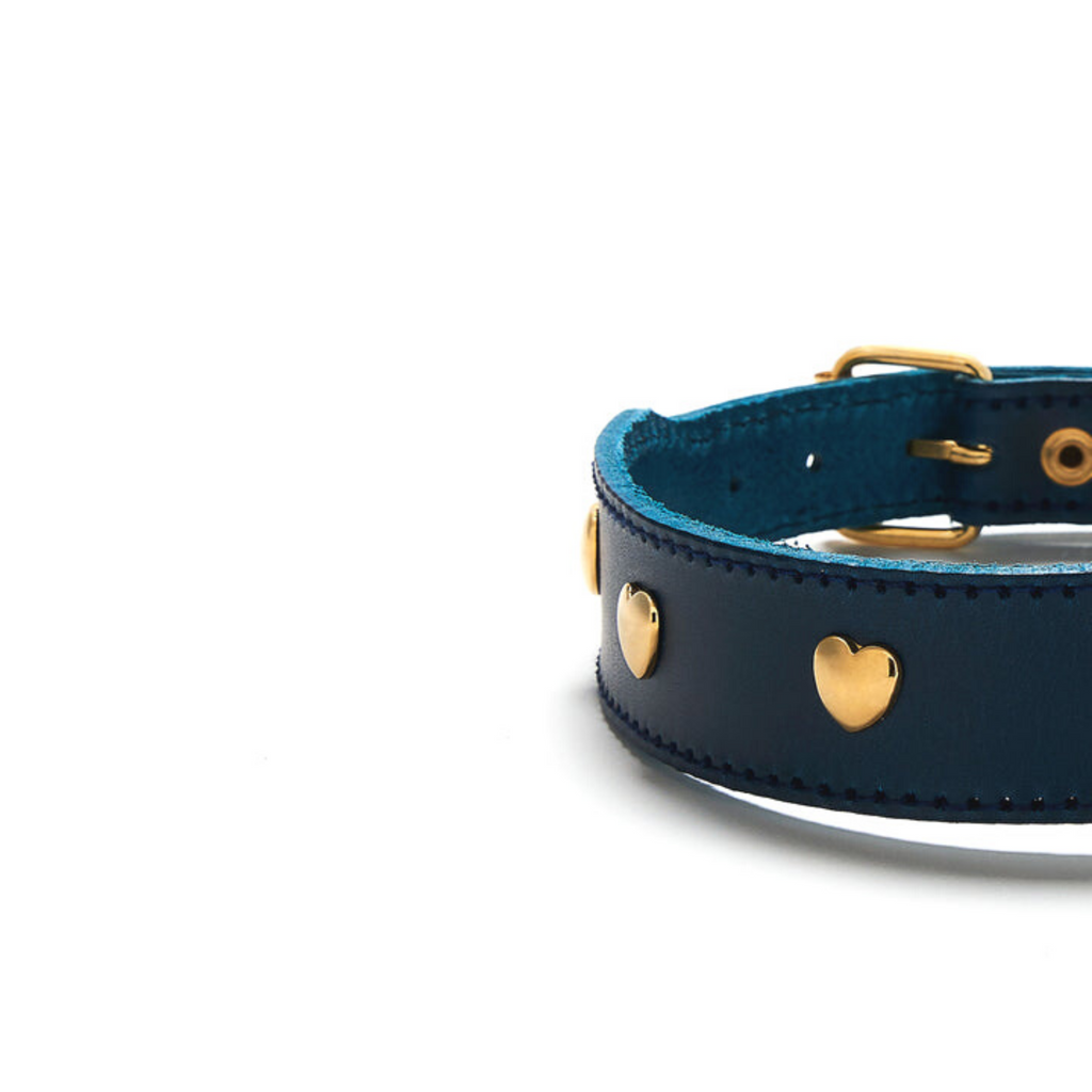 Hundehalsband aus Leder in dunkel blau mit Herz Nieten 