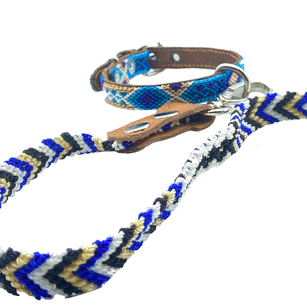 XXS Hundehalsband mit schmaler Leine in blau