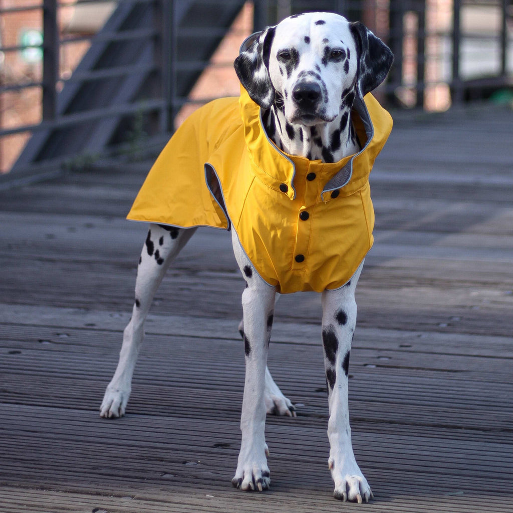 Rukka Pets Regenmantel Rainy gelb für Hunde 