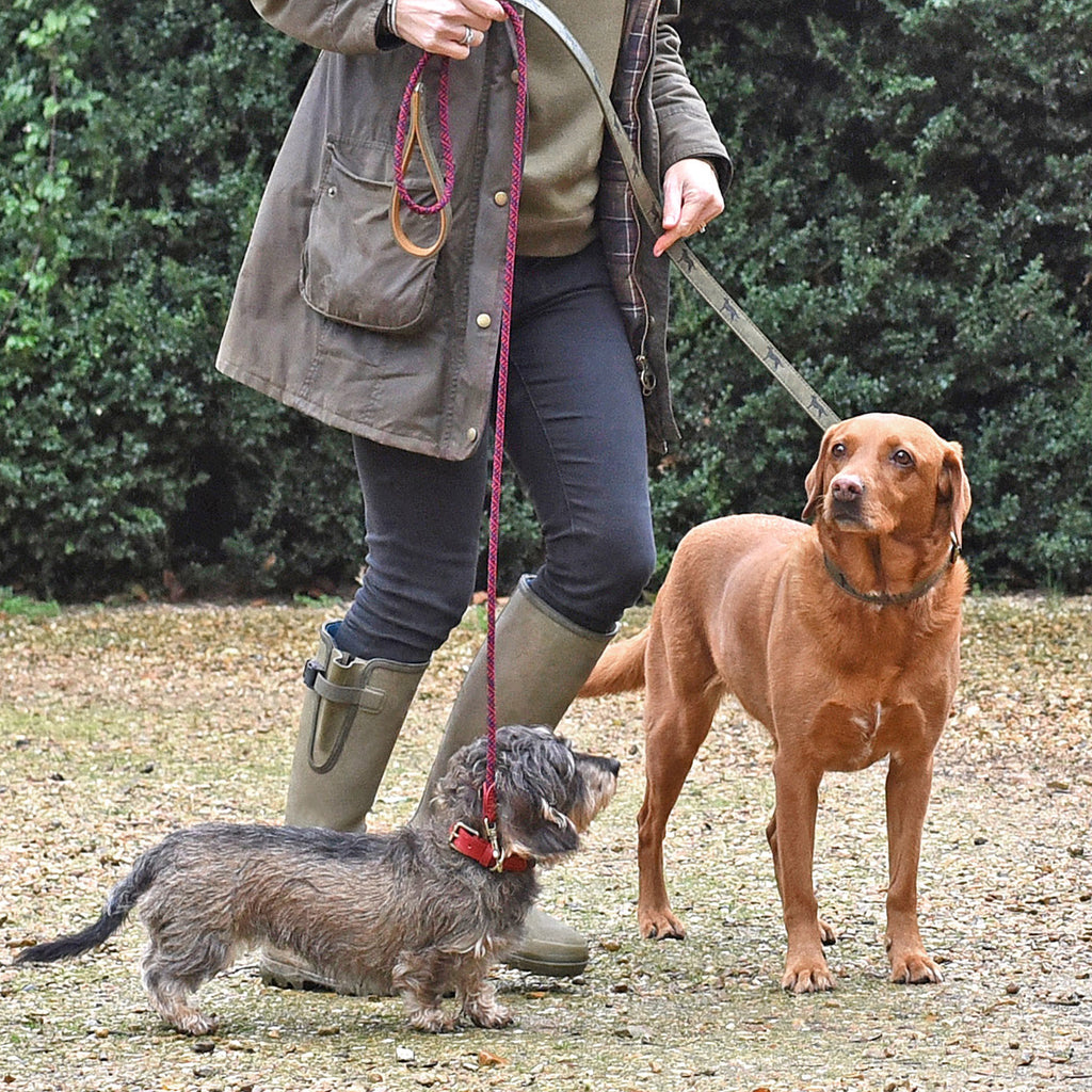 Van Muppen Labrador und Hund mit Tauleine in rot 