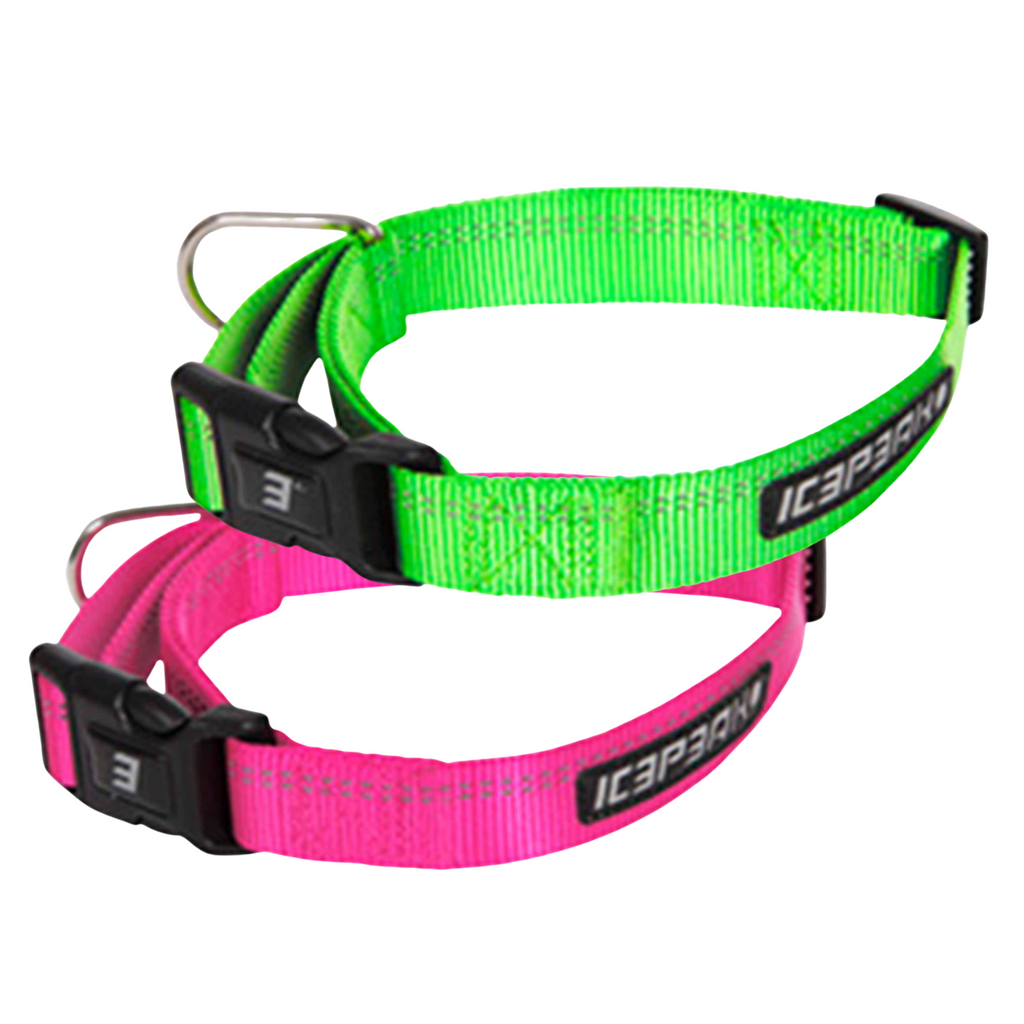 Hundehalsbönder sportlich aus Gurtband von Icepeak in Neon grün und neon pink