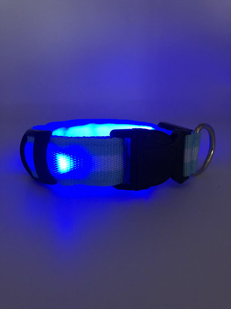 LED Hunde Leuchthalsband USB blau gestreift, Halsband - Van Muppen 